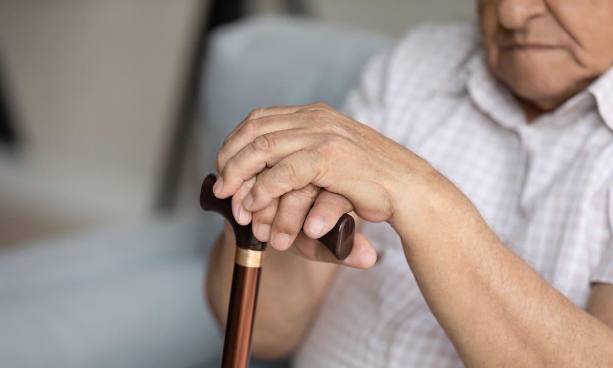 PNC: cuál es el monto de las pensiones en febrero de 2026