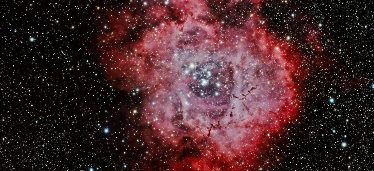 Horóscopo de Tauro para HOY, viernes 30 de enero: ¿cómo te irá en el amor, la salud y el trabajo?