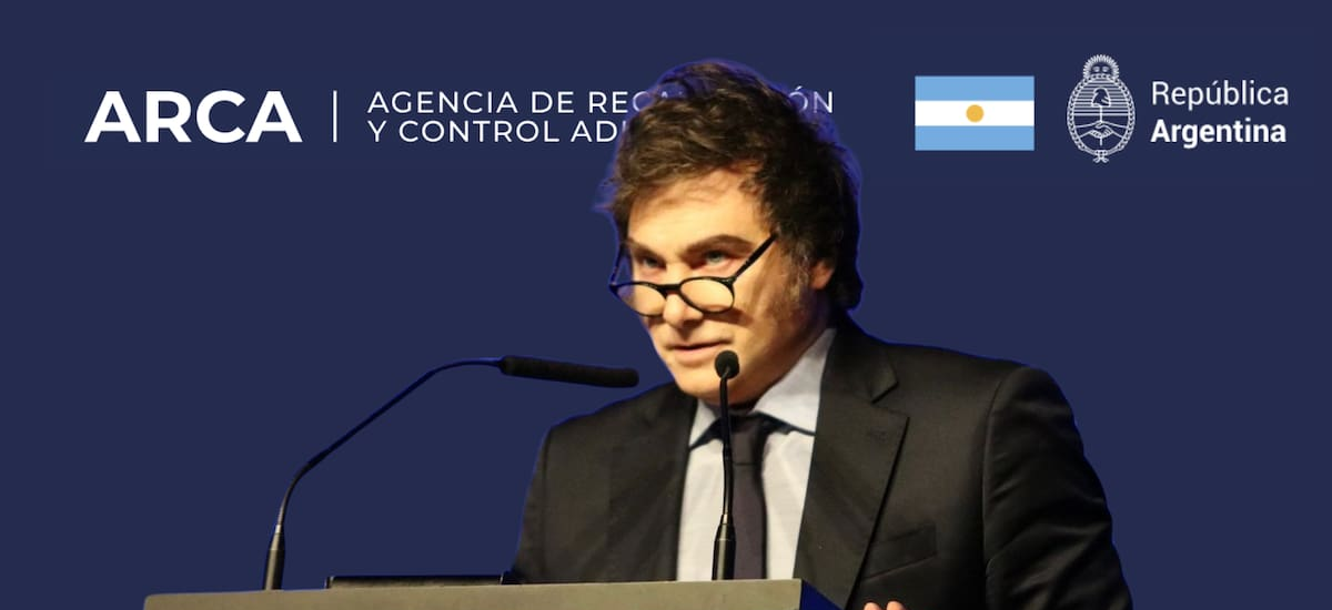 La recaudación tributaria fue de $ 18,3 billones en enero y cayó más de 7% real - El Cronista