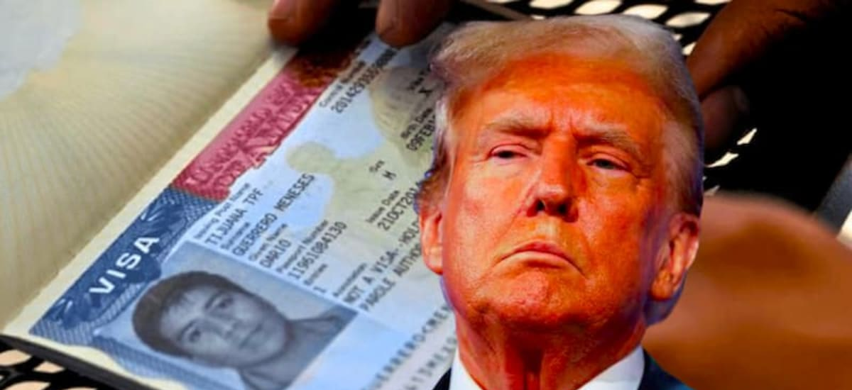 Vuelos liberados: buscan levantar la prohibición nacional y ahora las personas de todos estos países podrían recibir la visa americana