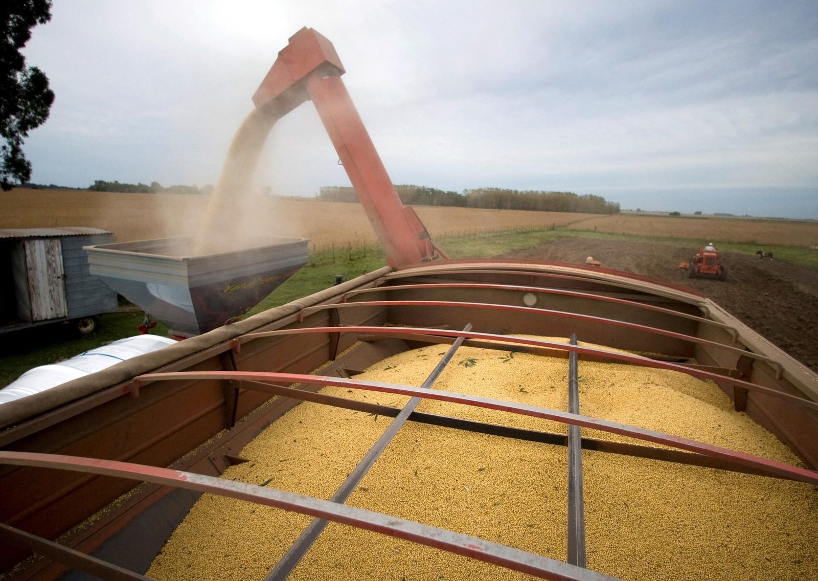 El clima, la energía y China vuelven a marcar el pulso del mercado agrícola global