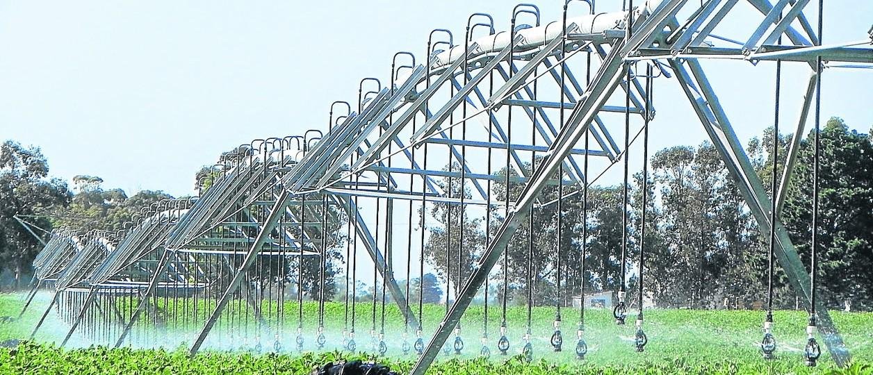 Incentivo para Pymes agroindustriales: todos los detalles del RIMI