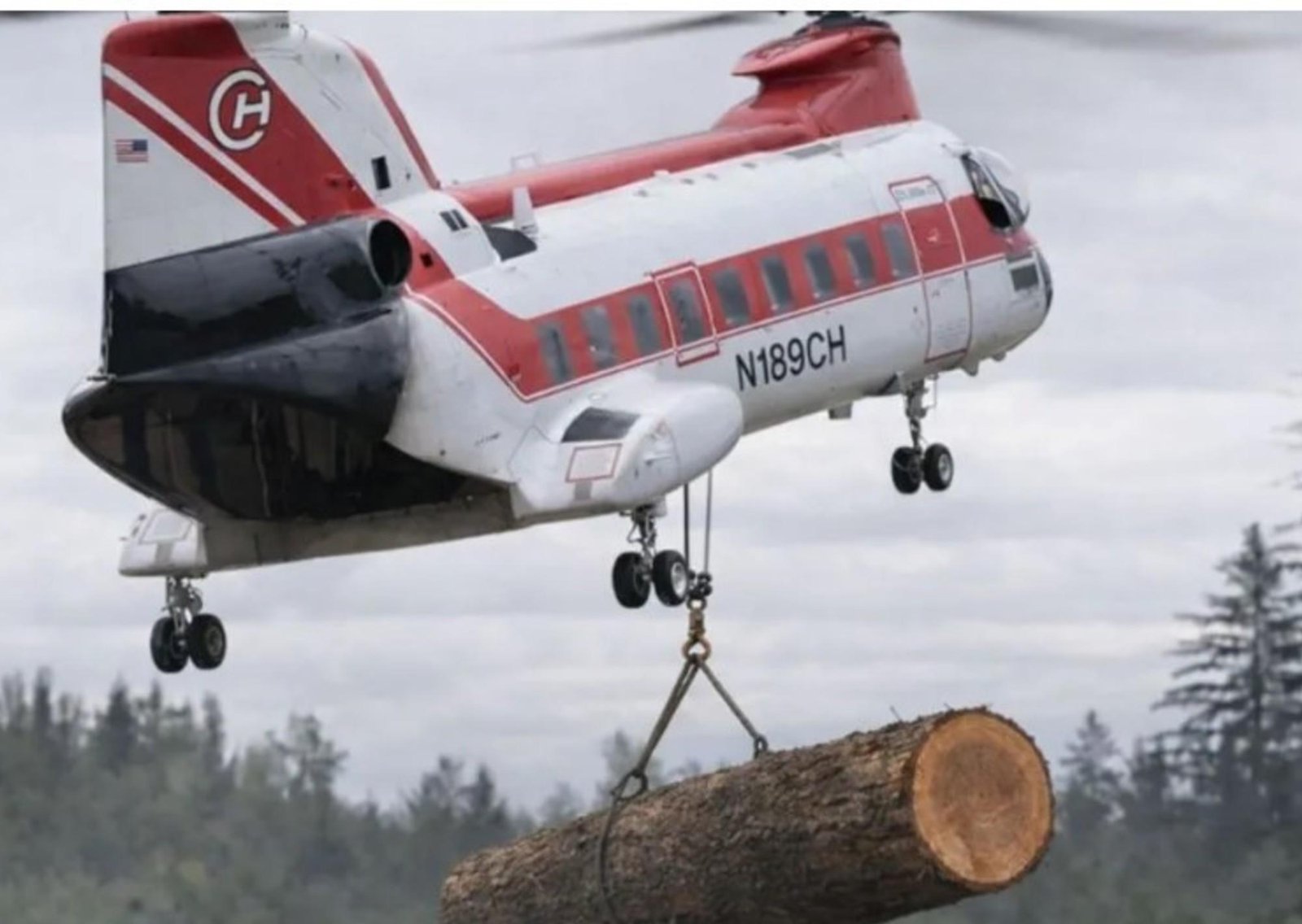 Helicópteros arrojan troncos sobre ríos de Estados Unidos: más de 6.000 árboles con un objetivo vital