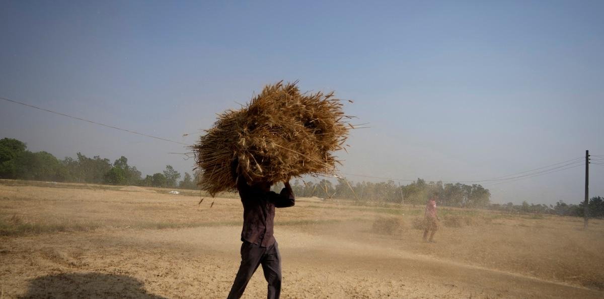 Acertijo con respuesta: parvas