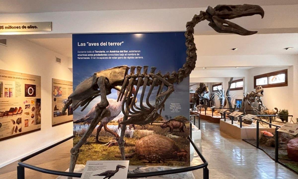El lugar imperdible de la Patagonia que tienen que conocer los fanáticos de los animales prehistóricos