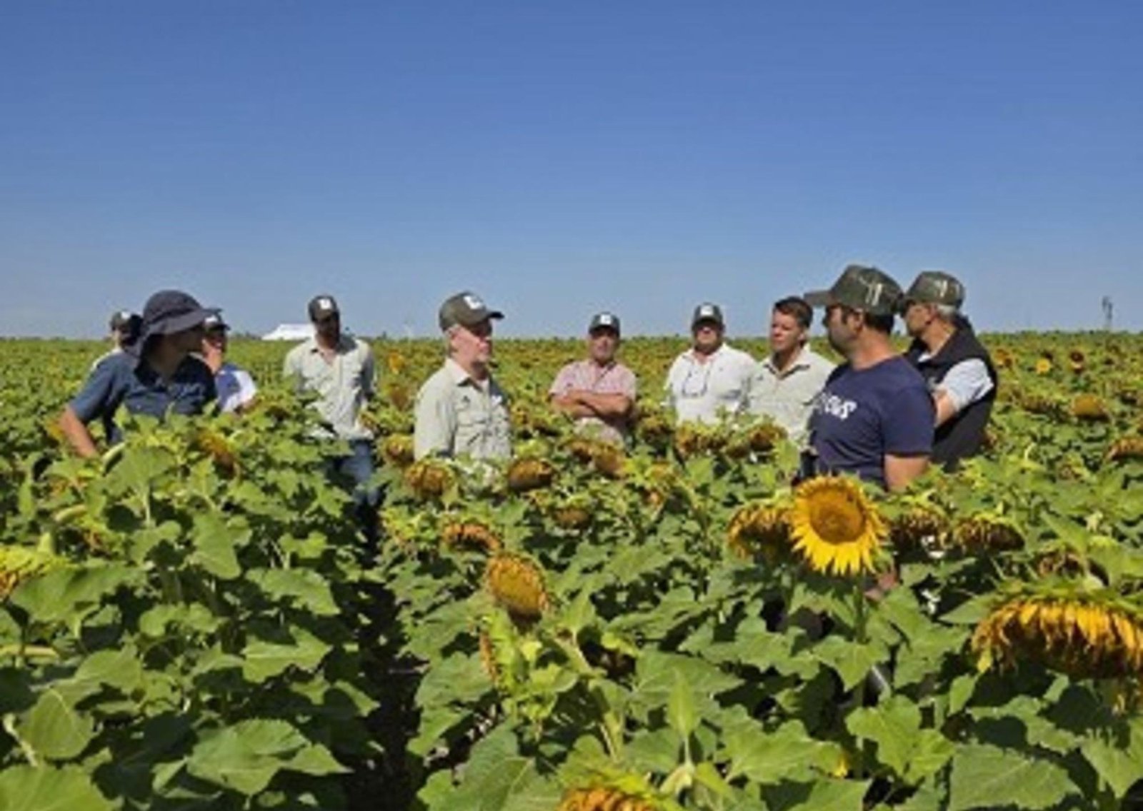 Empresa semillera argentina celebra 20 años de innovación y expandiendo sus fronteras