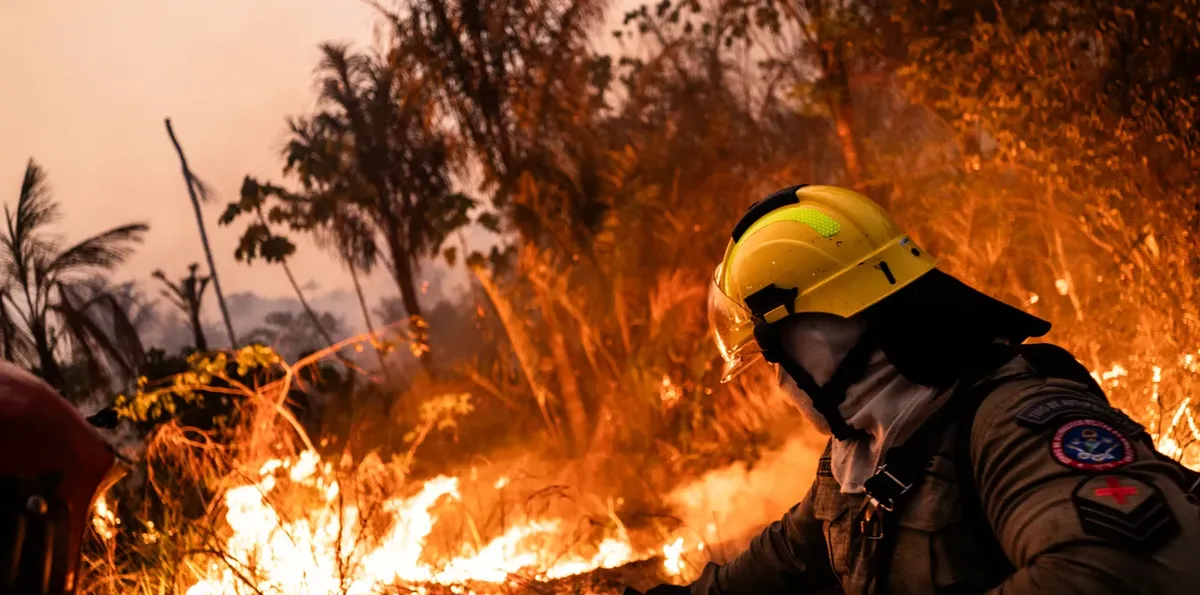La emergencia ígnea debería complementarse con medidas de alivio fiscal para los damnificados