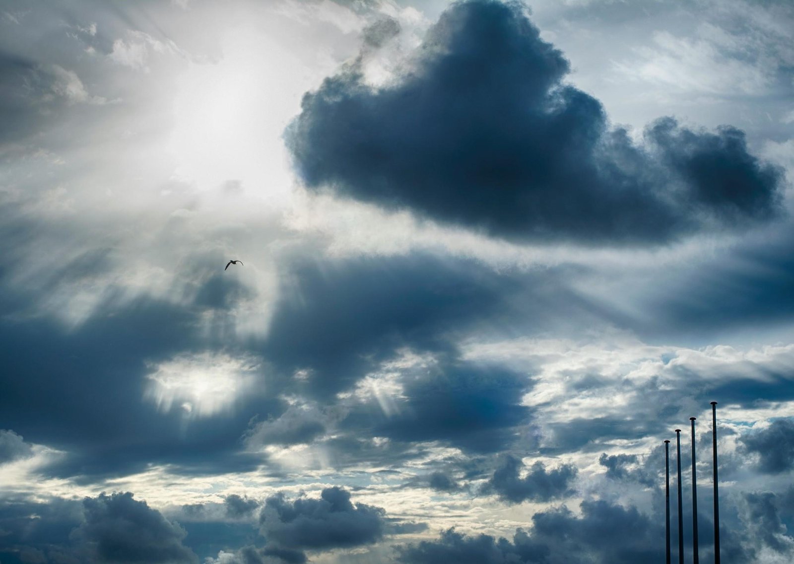 Clima hoy en Rivera, Uruguay: el pronóstico del tiempo para este viernes 30 enero de 2026