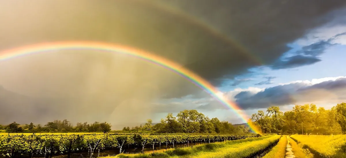 San Francisco de Macoris: el estado del tiempo para este 14 de marzo