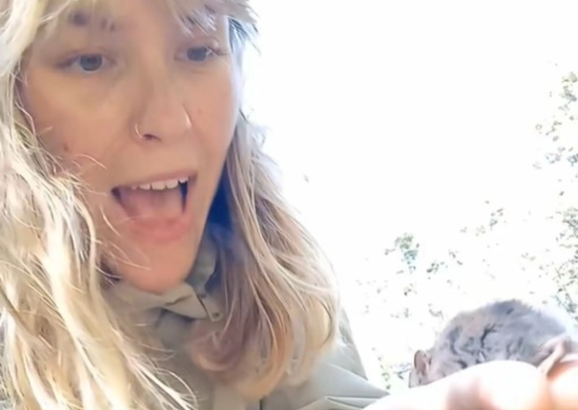 "Yo solo ví un bicho muy cute", polémica por una influencer que acarició a uno de los ratones que transmiten el hantavirus