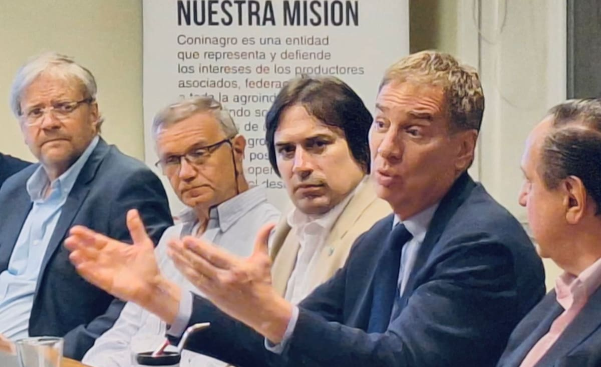 “Soy muy positivo”: Santilli le dijo a una entidad del campo que espera la aprobación de la reforma laboral en el Senado