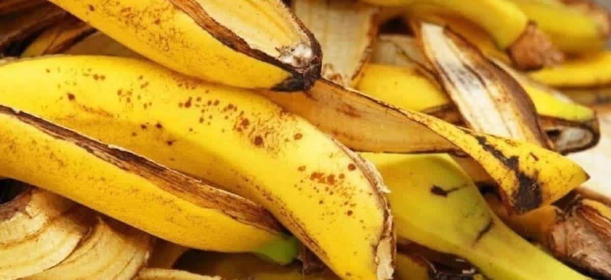 Agua con bicarbonato y cáscara de banana: la mezcla 100% eficaz para limpiar metales y fortalecer plantas