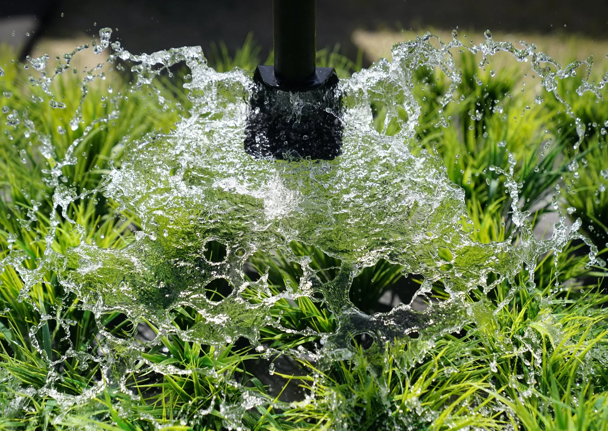 El riego suplementario es clave para vencer a la inestabilidad climática