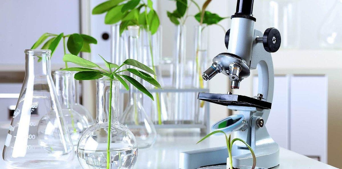 La pequeña empresa que pasó desapercibida por todos y hoy está valuada en casi 3 mil millones de dólares