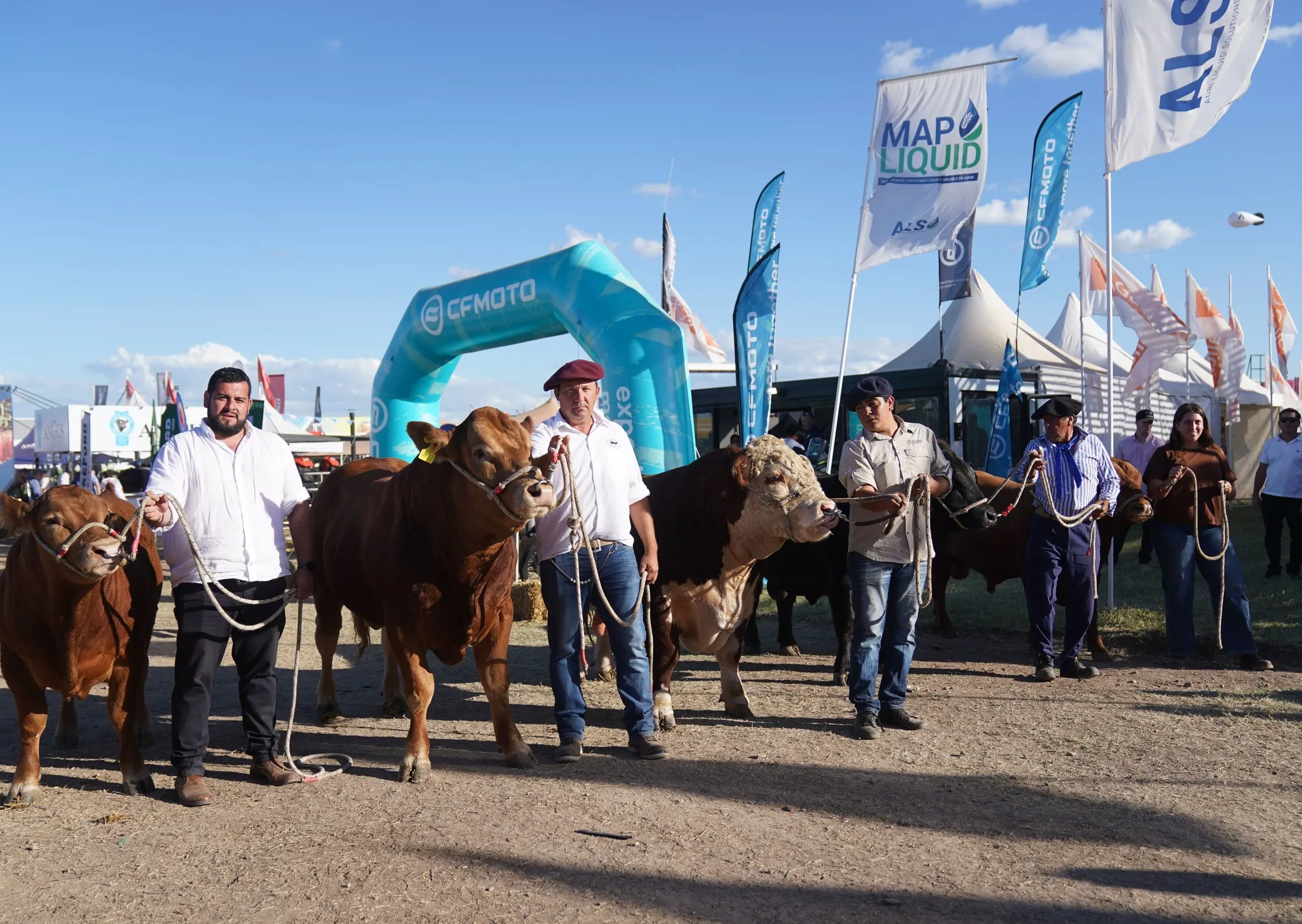 Las principales razas ganaderas ya son una fija de la megamuestra