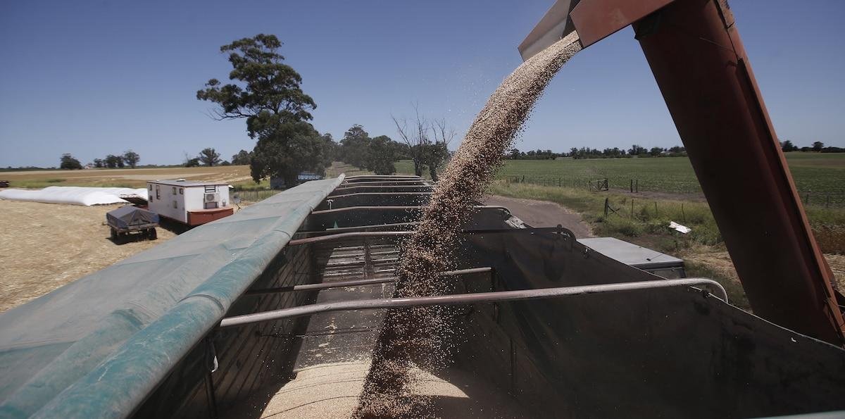 Con 5,1 millones de toneladas, aumentó un 3% en 2025 el mercado de fertilizantes en el país