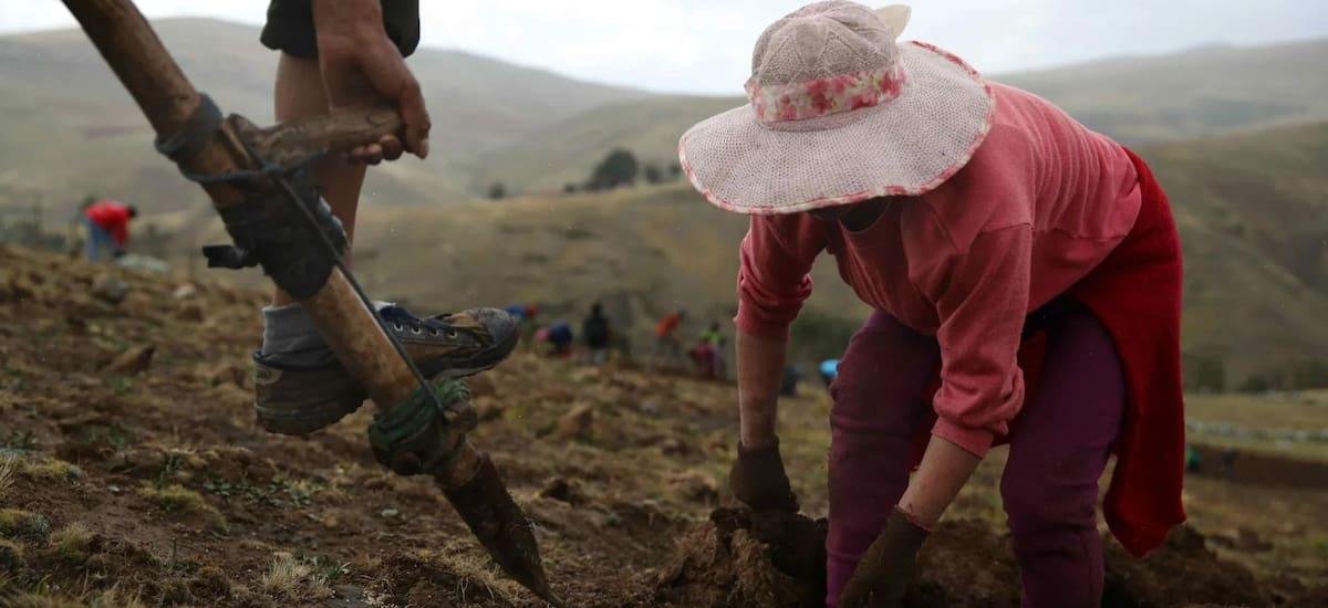 El Gobierno confirmó una ayuda de 100 millones para el campo: quiénes serán los beneficiados