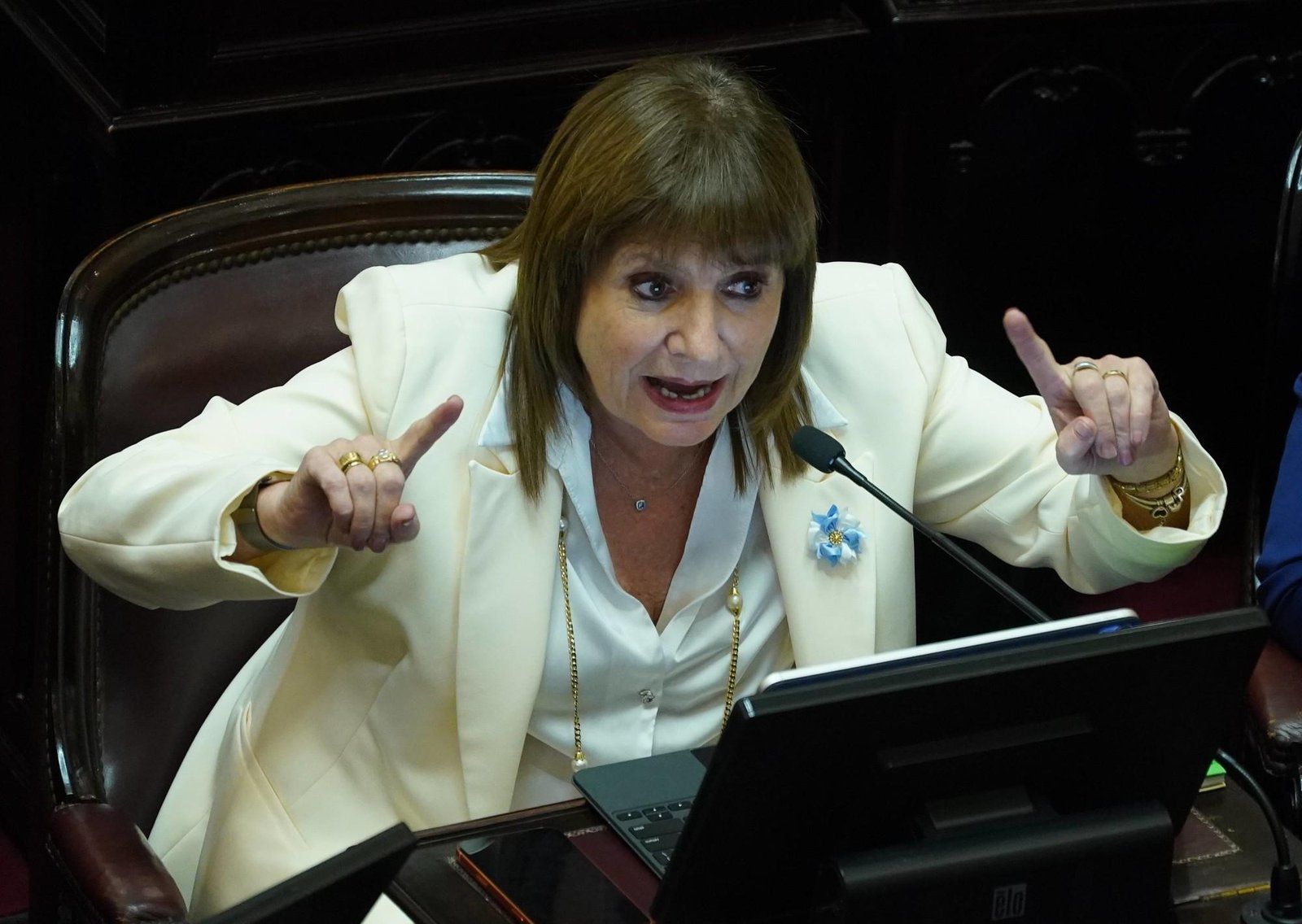 Bullrich reconoció que el Gobierno no estuvo involucrado en la liberación de Nahuel Gallo y sembró dudas sobre la AFA: "Podrían haber traido también a Giuliani"