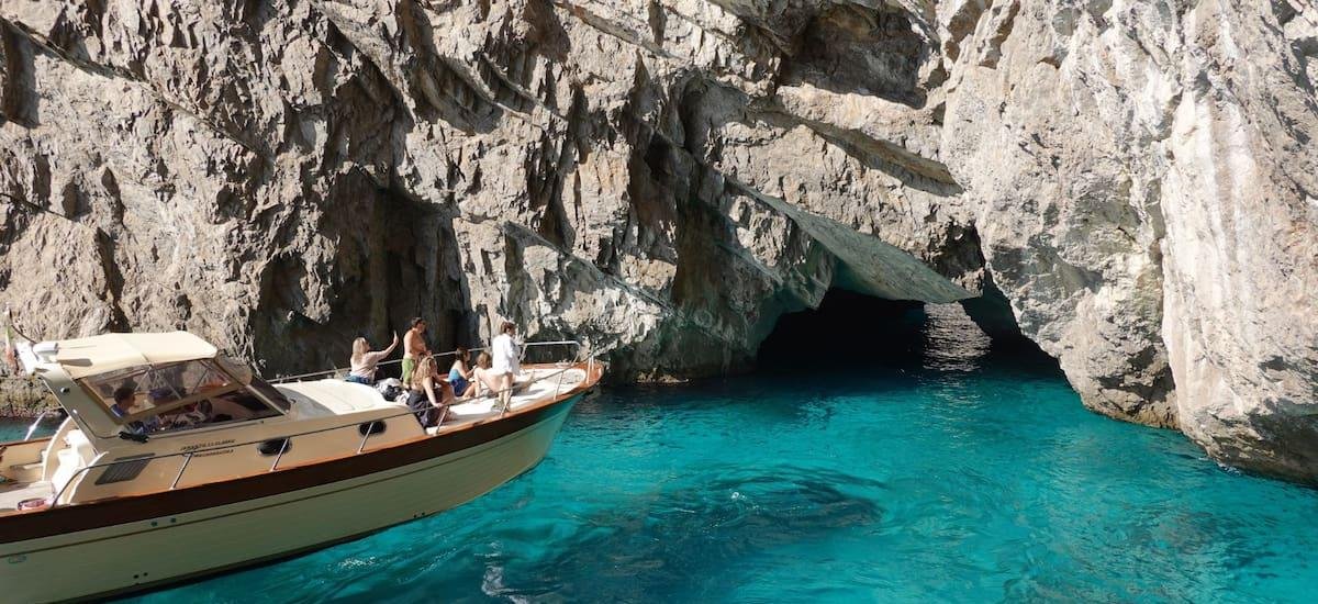 Descubrimiento sin precedentes: hallaron una “selva tropical” en el Mediterráneo que cambia la ciencia para siempre