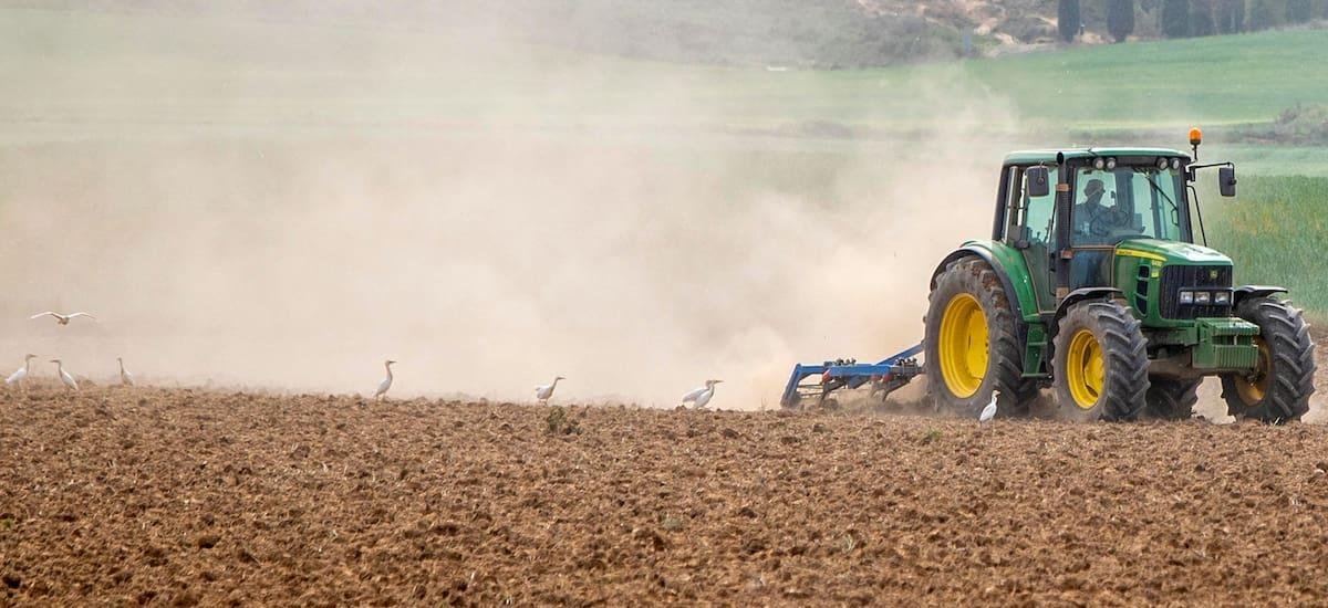 Ministerio de Ganadería declara emergencia agropecuaria por déficit hídrico en 11 departamentos