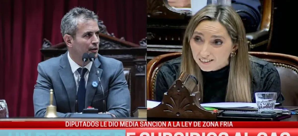 Julia Strada, en la cara a Menem sobre la quita de los subsidios al gas: “Ustedes están haciendo negocios para enriquecerse”
