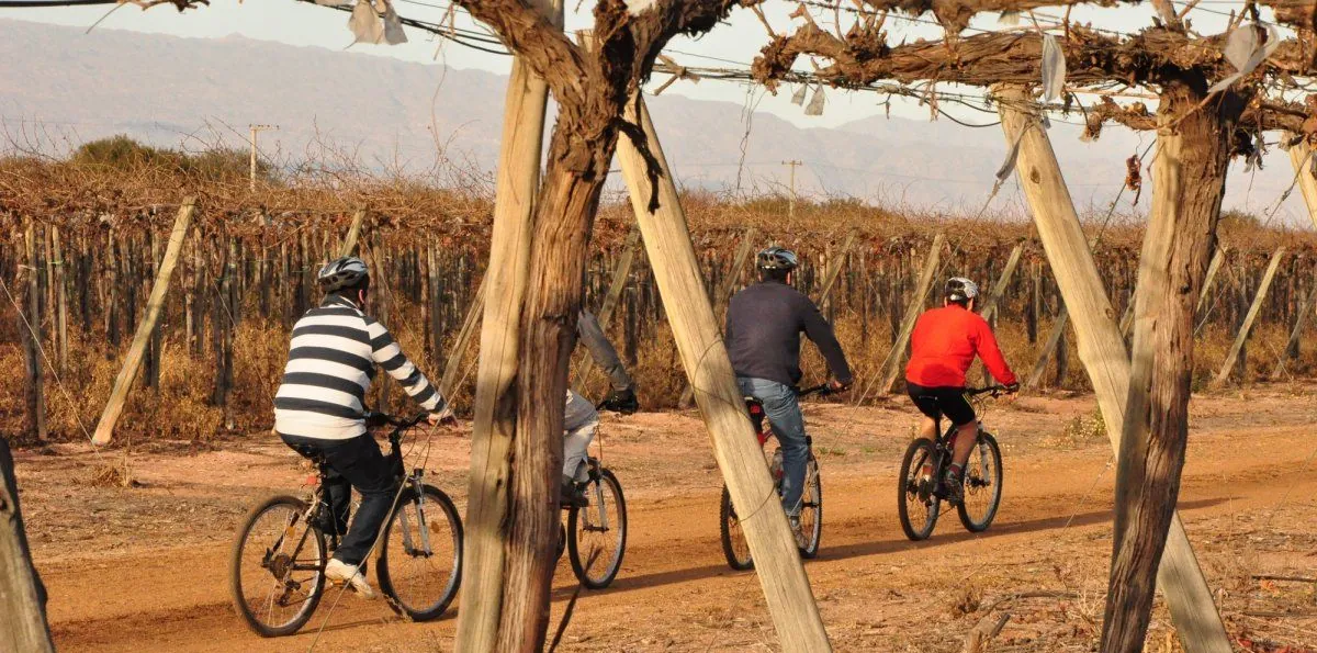 Vinos: en medio de una caída histórica del consumo, el enoturismo sale al rescate de la industria vitivinícola global