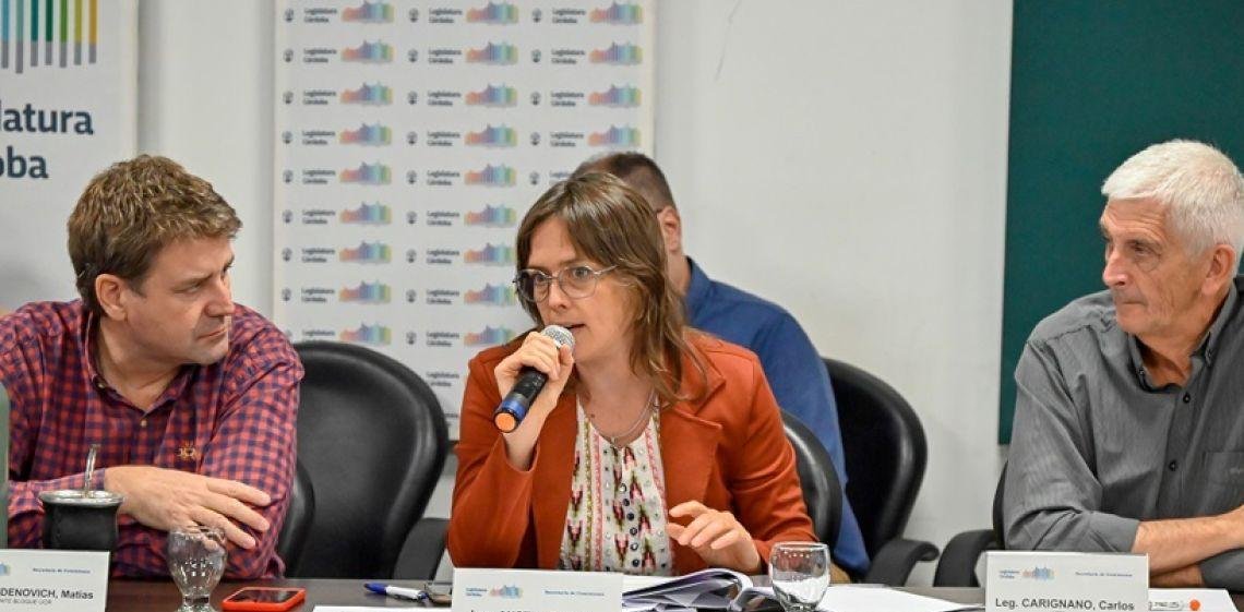 En pleno conflicto con UEPC, la oposición presiona al gobierno con una ley para blindar el salario docente frente a la inflación