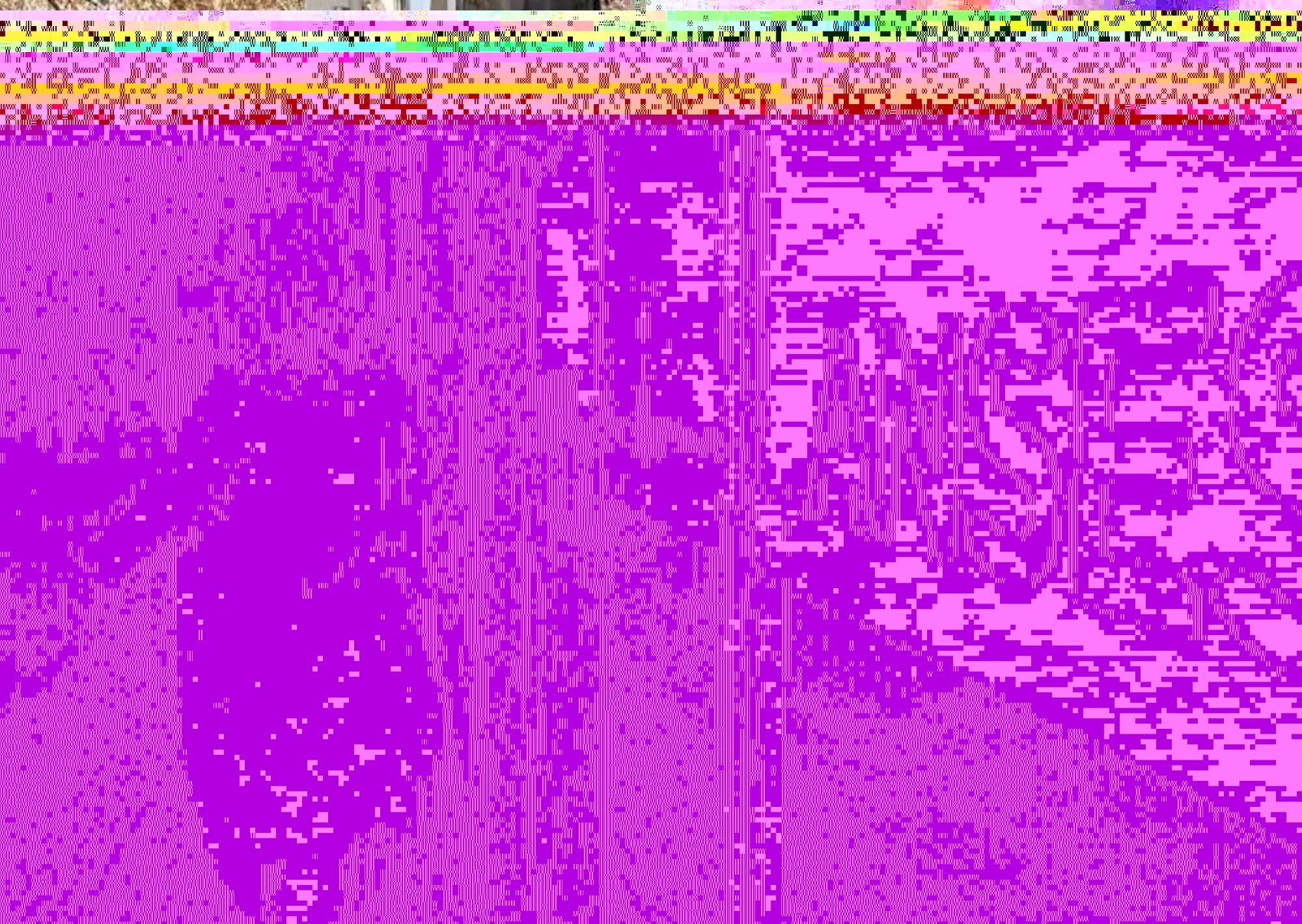 Tarjeta Alimentar en marzo de 2026: cuánto se cobra según la cantidad de hijos