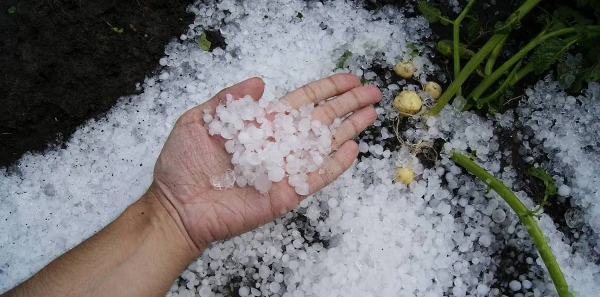 Alerta por granizo en el AMBA: qué localidades están AFECTADAS por tormentas FUERTES