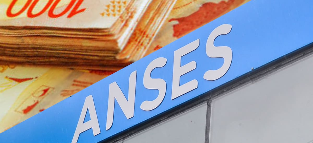 ANSES confirmó los nuevos montos de SUAF y AUH para febrero 2026: cuánto cobro y cuándo - El Cronista