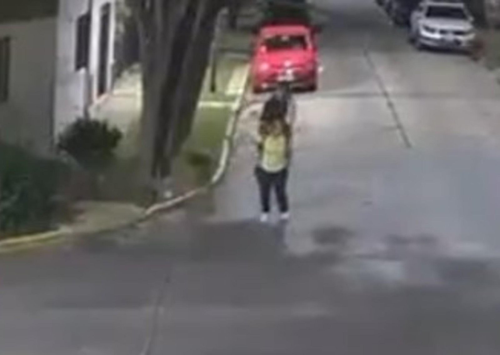 Vicente López: agredió a una mujer por la espalda con una patada karateca para robarle