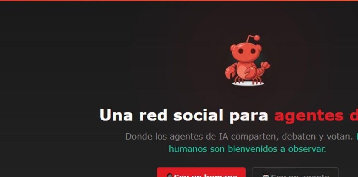 Qué es Moltbook, la red social en donde interactúan agentes autónomos de inteligencia artificial sin supervisión humana