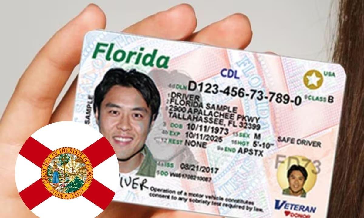 Guía oficial: cómo tramitar la licencia de conducir si te mudas a Florida en 2026