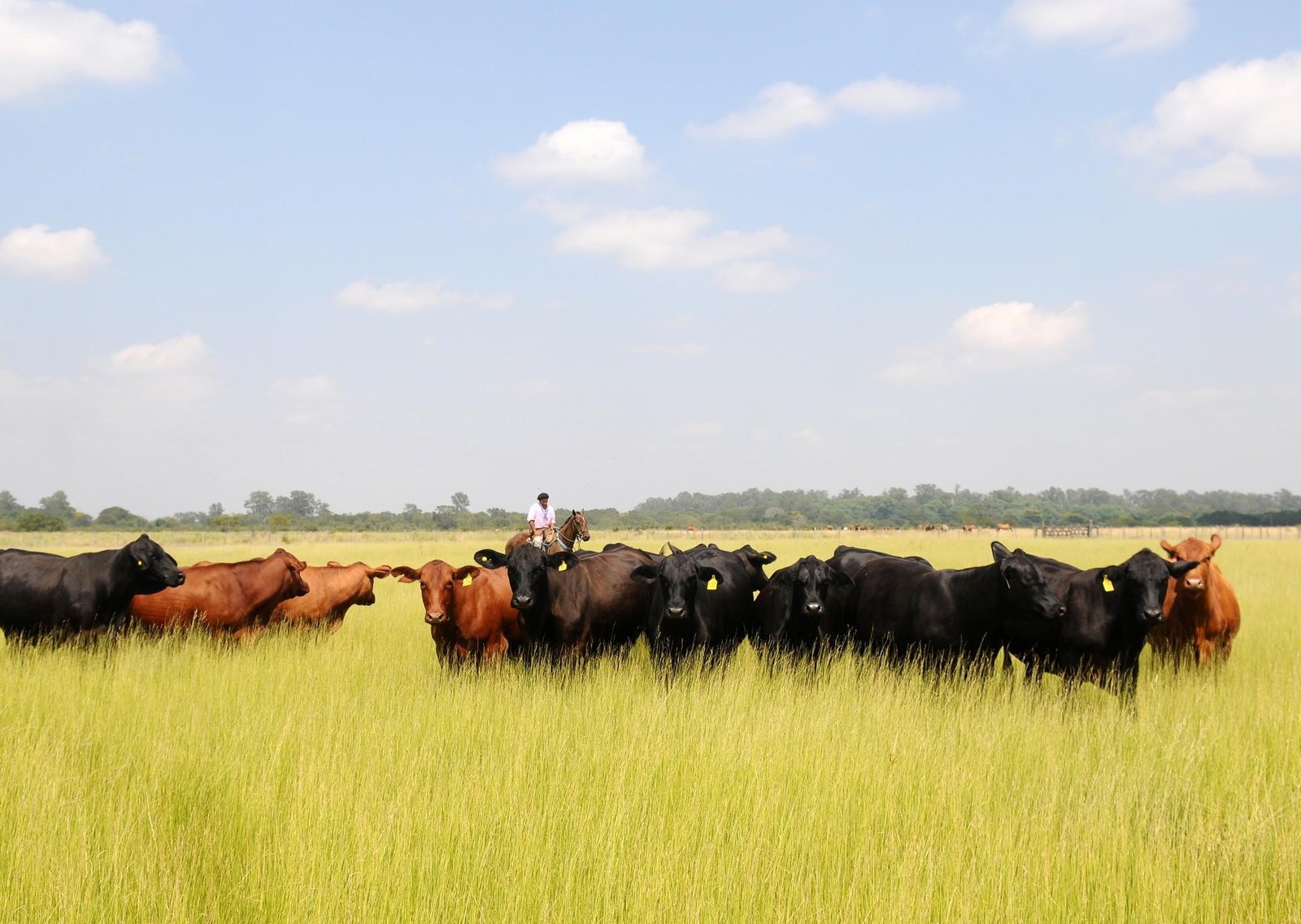 Foco y resultados, misiones sagradas de los organismos internacionales