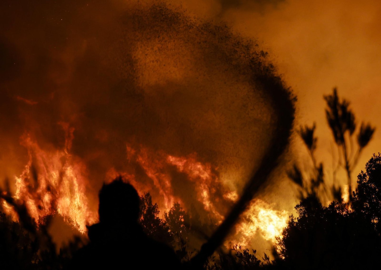 El Gobierno amplió la emergencia ígnea e incorporó a Santa Cruz a las provincias afectadas por el fuego