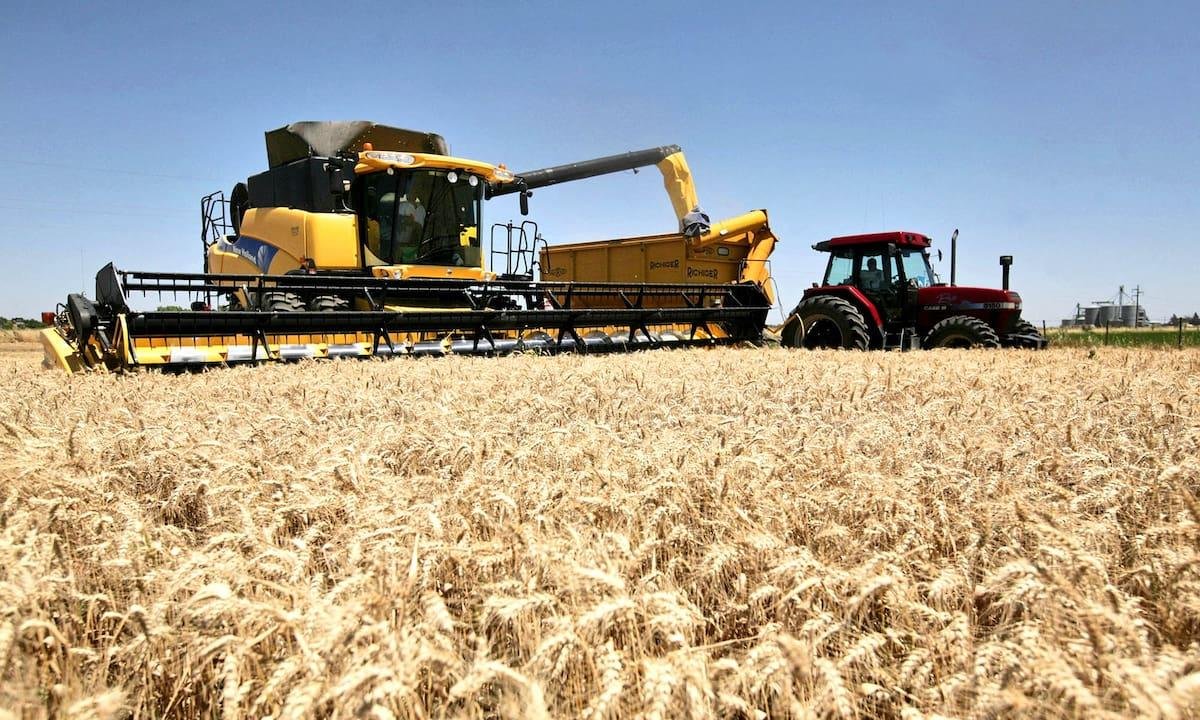 Datos favorables, el rescate del campo y un mundo que necesita alimentos