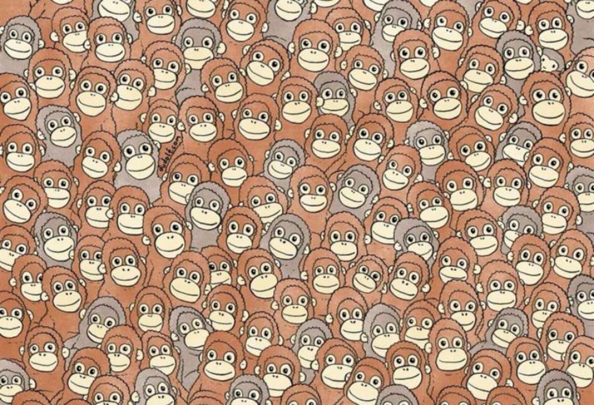 ¿Dónde está Punch? El acertijo viral del mono del momento que solo las mentes más veloces resuelven en 30 segundos