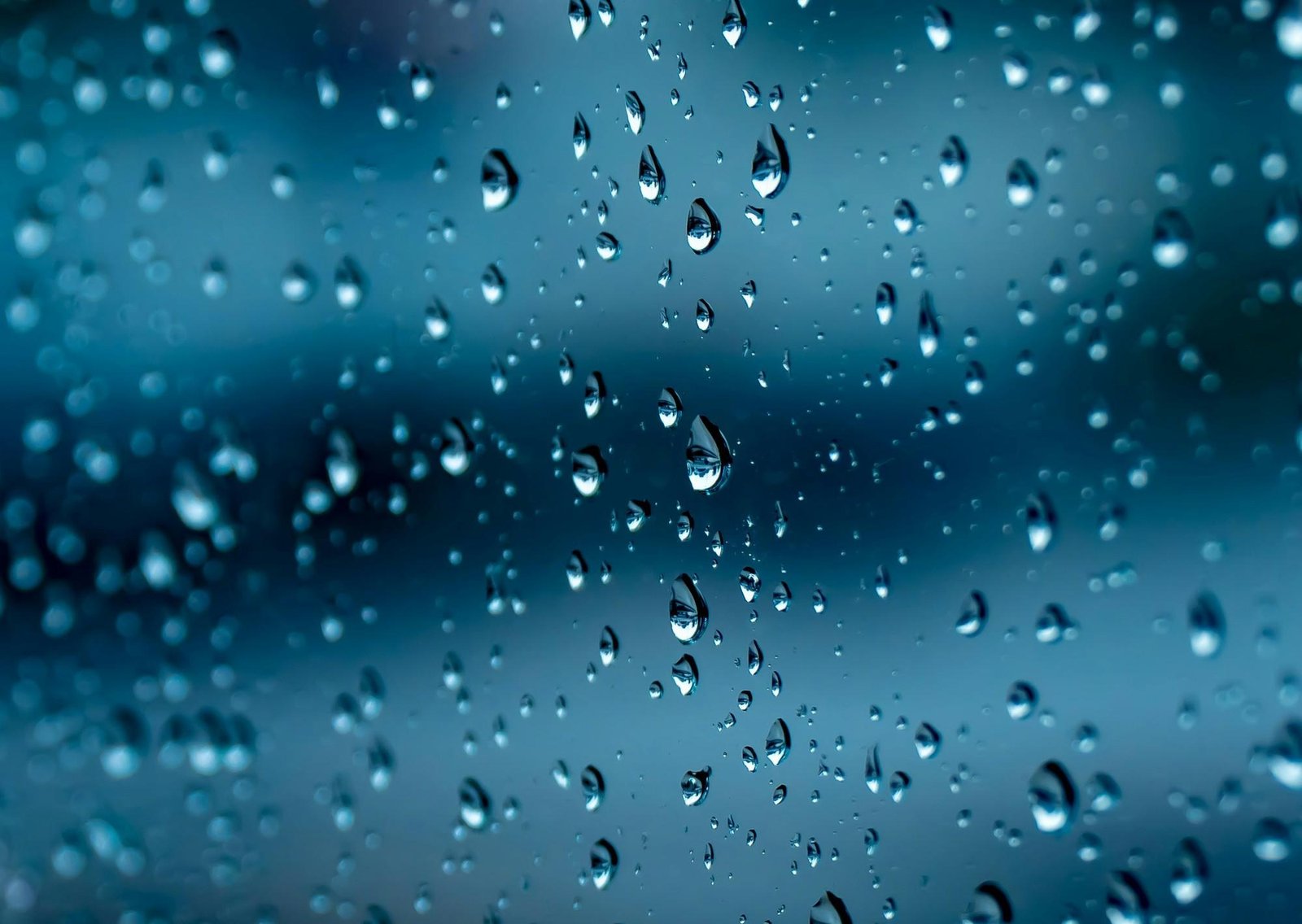 Clima hoy en Ponce, Puerto Rico: el pronóstico del tiempo para este lunes 2 febrero de 2026