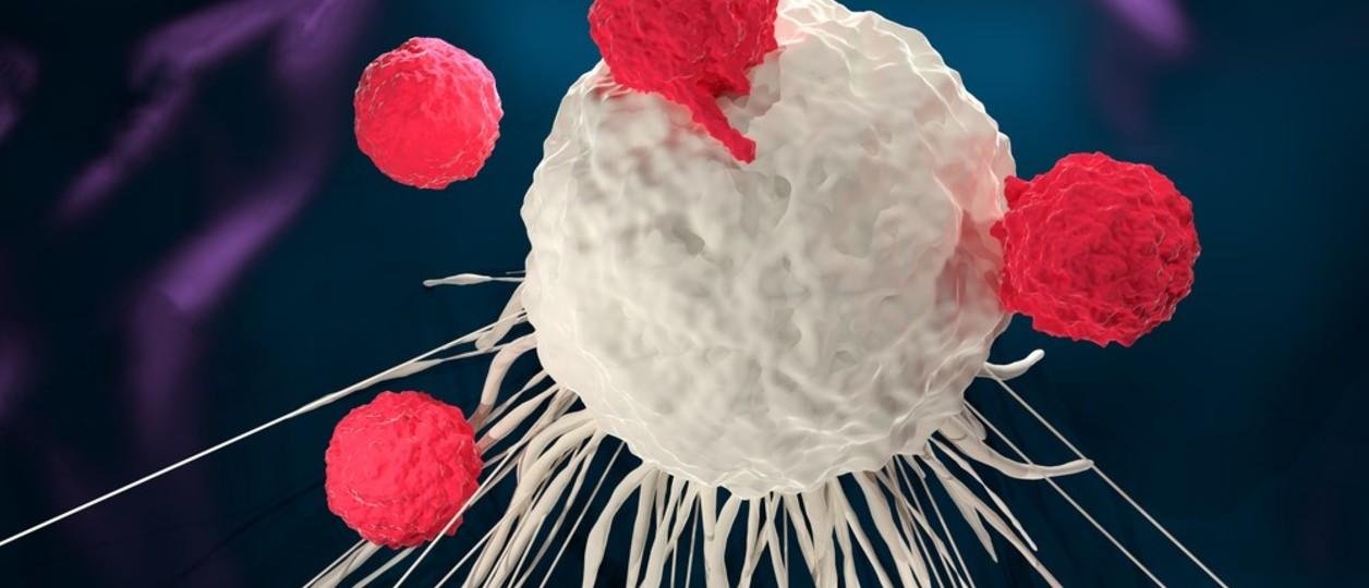 10 cosas que aprendimos sobre el cáncer