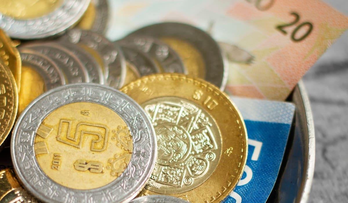 Peso mexicano y bolsa se repliegan en espera decisión Banxico