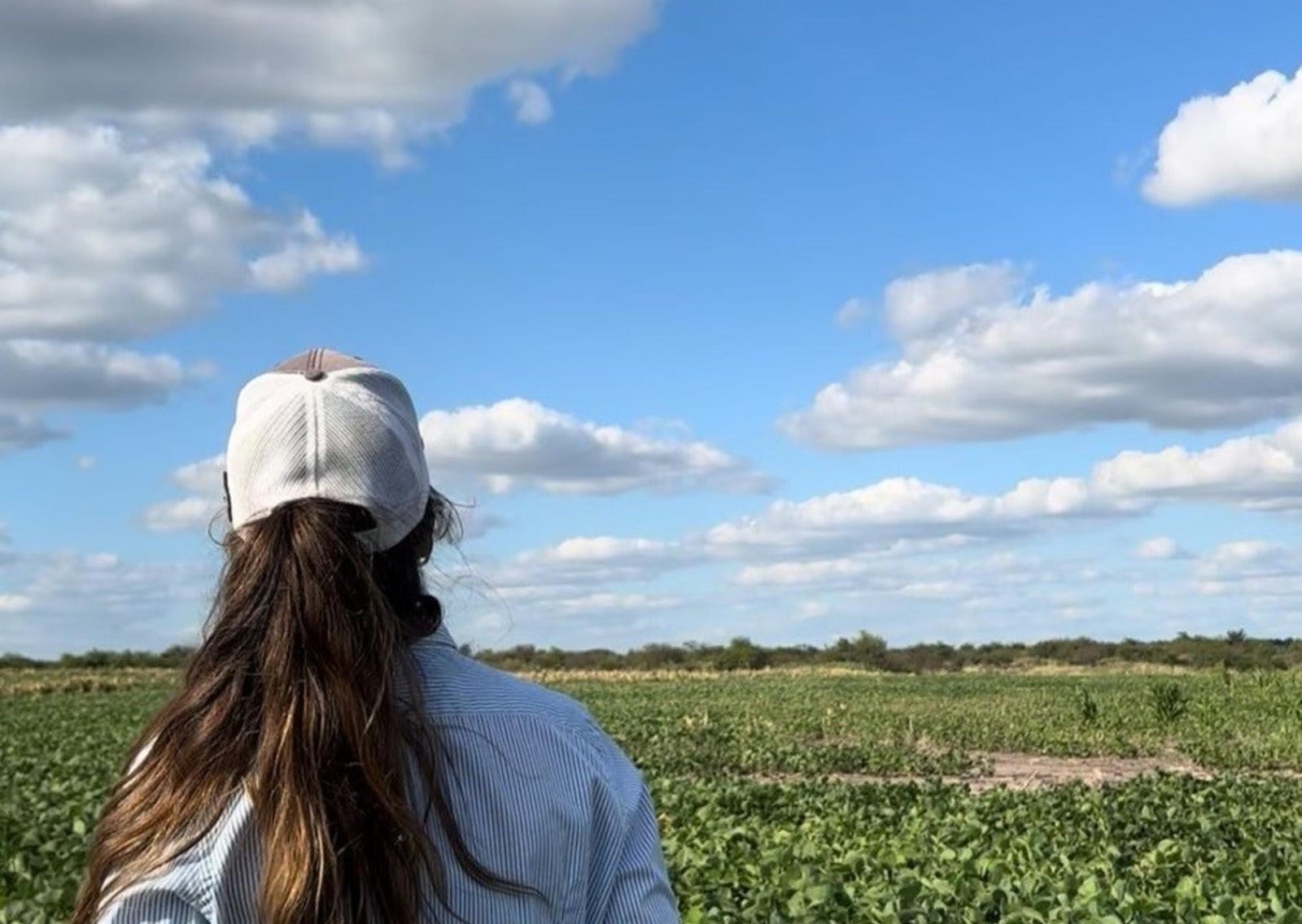 Cómo los drones son una solución para hacer aplicaciones dirigidas de herbicidas