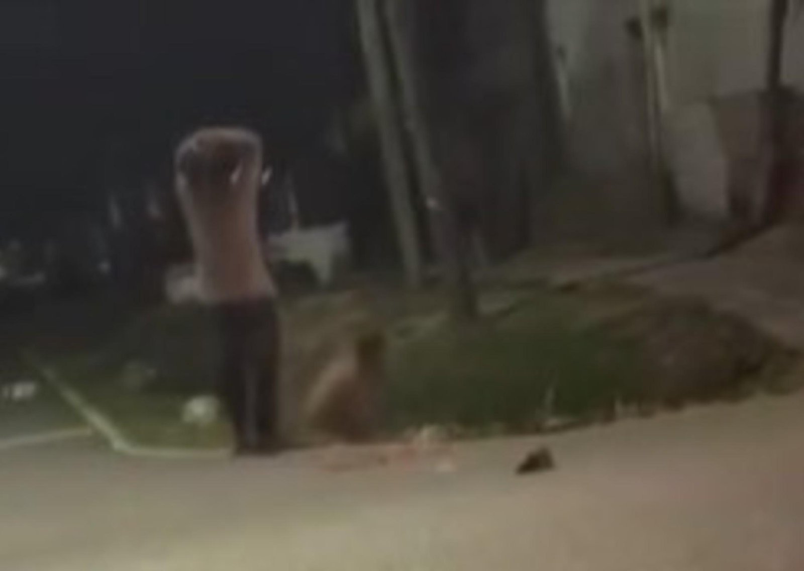 Pilar: mató a golpes con un bate de béisbol a su tío durante una pelea familiar