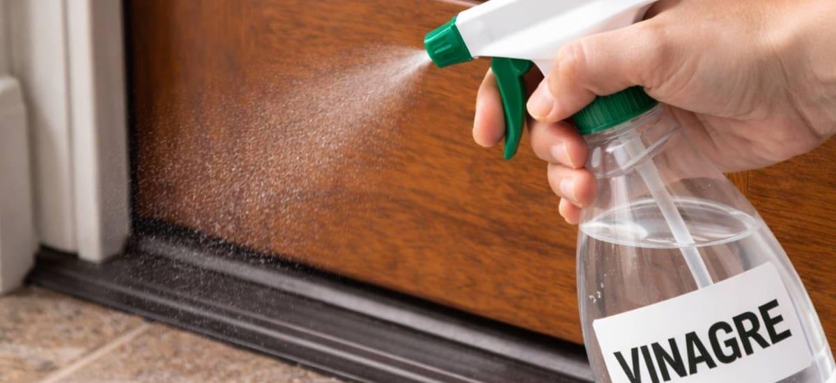 Rociar vinagre detrás de la puerta del baño: para qué sirve y por qué recomiendan hacerlo - El Cronista