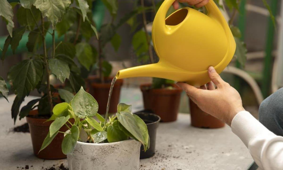 Cuánto cobran los caseros en febrero de 2026