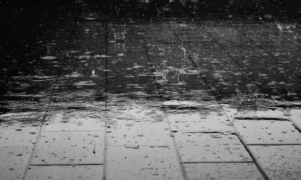 Clima en Ushuaia hoy: cuál es el pronóstico del tiempo para el 4 de febrero de 2026