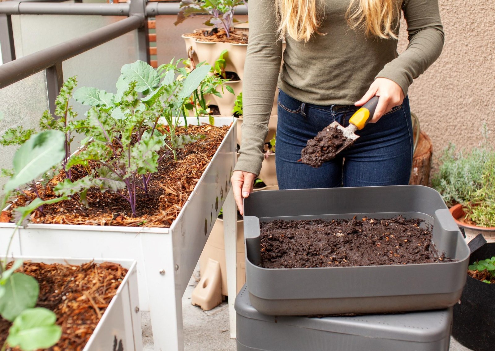 Pocos lo saben: qué significa y para qué sirve colocar café alrededor de las plantas de jardín
