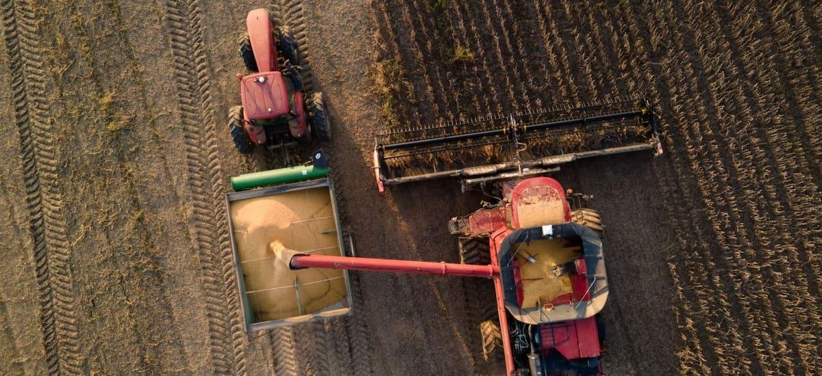 La liquidación de febrero cayó 30%: la apuesta del mercado con los dólares del campo