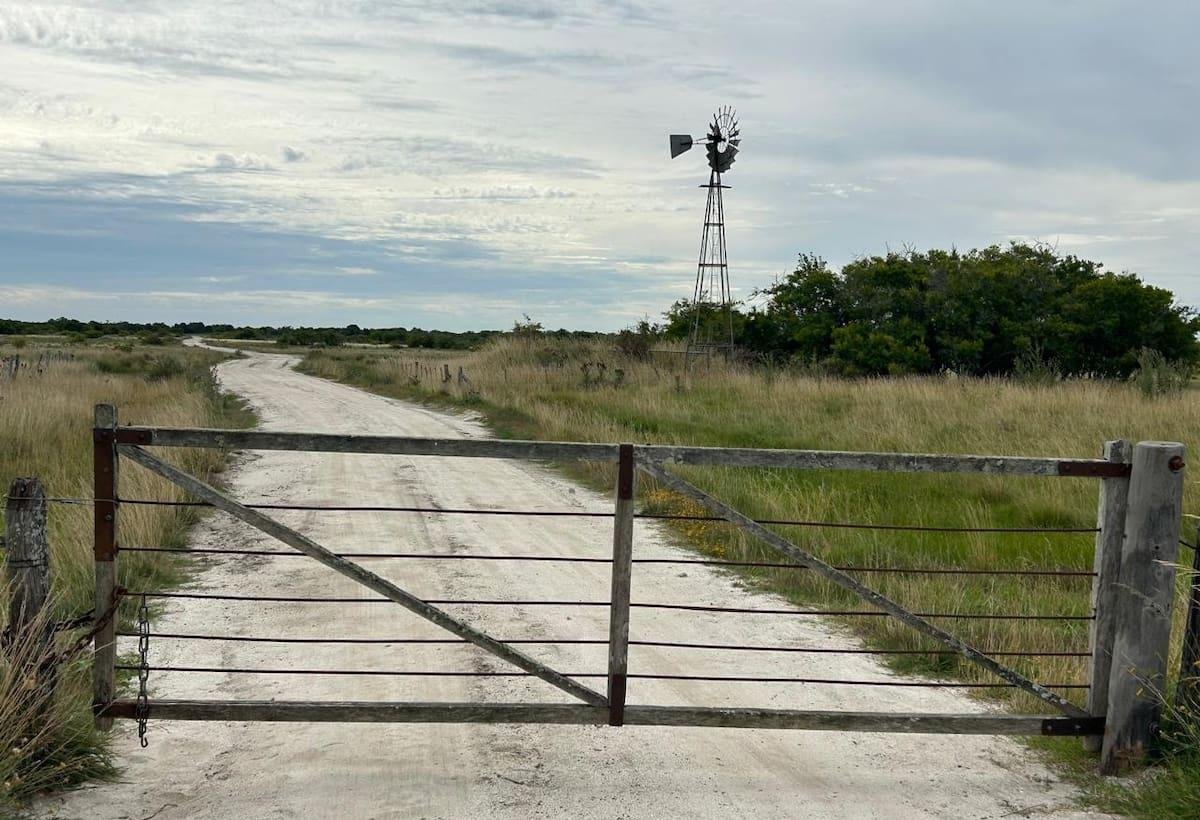 “Clásico impasse”: enero rompió el molde del mercado y las inmobiliarias rurales anticipan un 2026 con buenos negocios