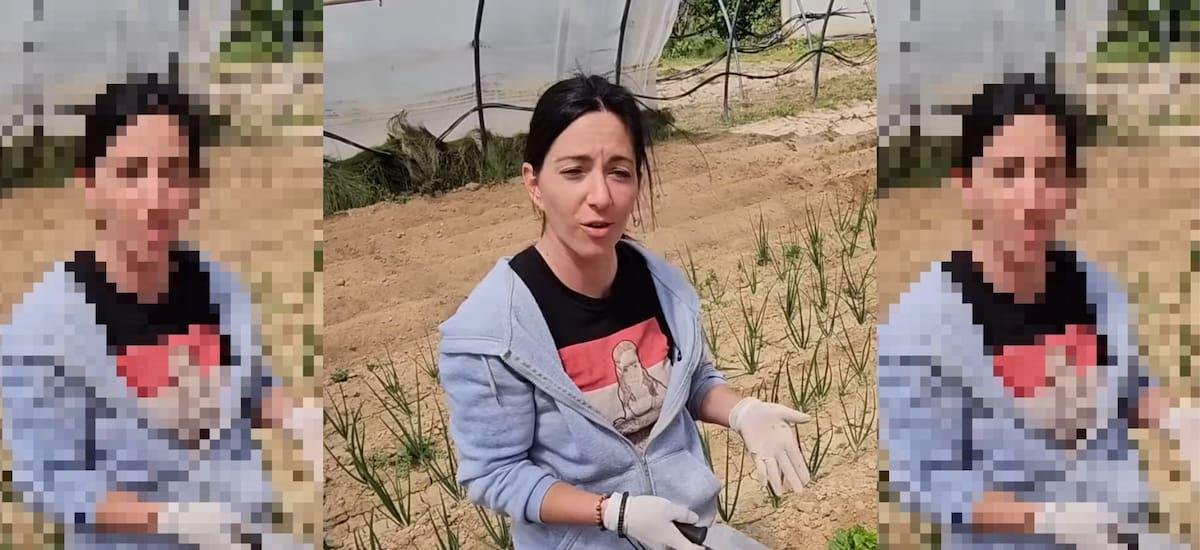 Clara, agricultora en España: “Prefiero tirar mi cosecha antes que me paguen la mitad de lo que vale”