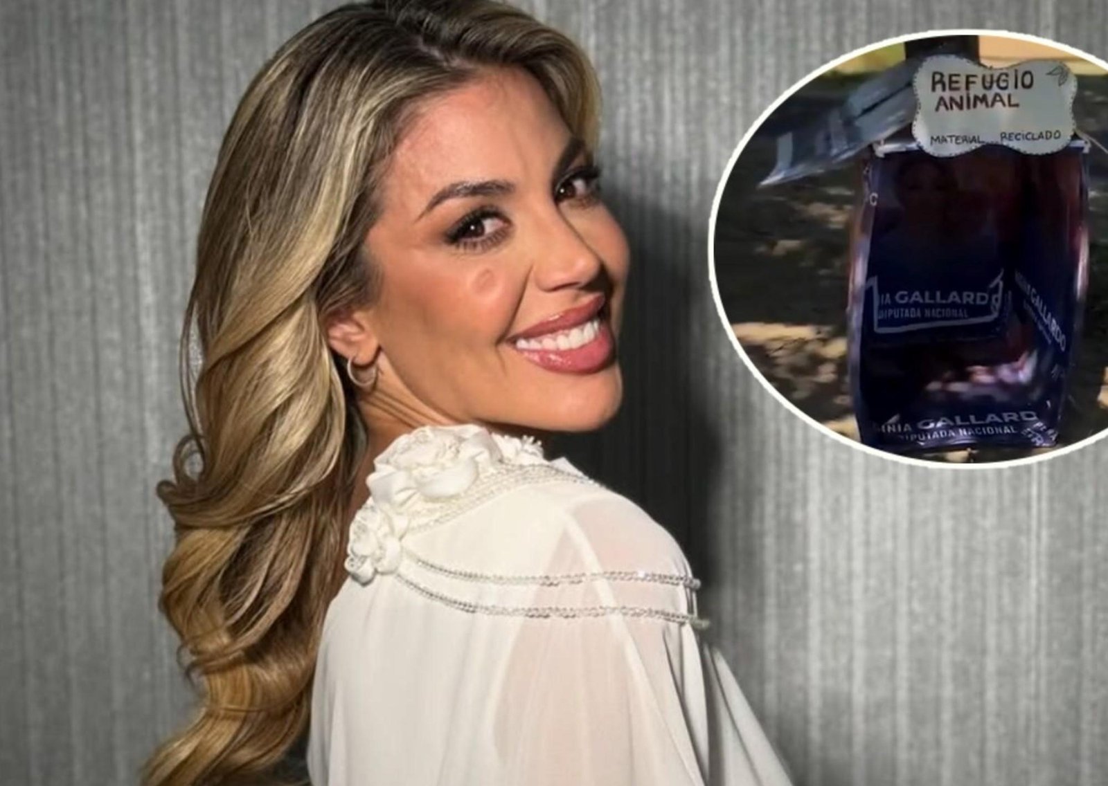 Virginia Gallardo recicló los carteles de su campaña y los utilizó para hacer refugios para perros callejeros